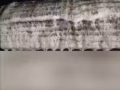 专业空调药水清洗，价格合理