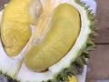 猫山王$12 1kg