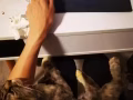 给他找个有爱心的妈妈
