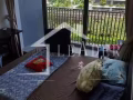 阿裕尼性價比超高普通房促銷出租，凡本月入住可享受免押金福利!租到就是賺到！！！