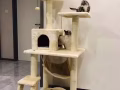 全新猫爬架