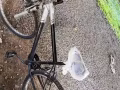 因朋友回国出售自行车