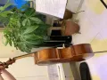 大提琴1/4