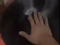 烤鱼盘 麻辣大碗 全新碗碗碟碟出售