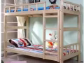 义顺大牌305男女搭房出租，随时入住，服务业可以报本屋地址。