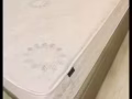 Englander 大號床褥