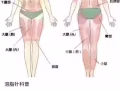 微整项目优惠来喽！面部除皱、溶脂、水光针，玻尿酸…
