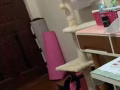 全新养猫全套用品