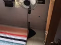 已租 女皇鎮3分鐘好房出租 可報地址