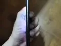 苹果7plus