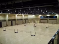 淡滨尼羽毛球