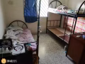 直落布兰雅打牌6