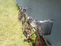 麻烦删帖已经卖了谢谢