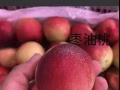 各种零食