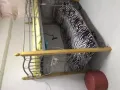 两个床位搭房