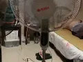 电风扇便宜卖