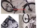 全新自行車🚲
