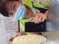 白玉(台湾)苦瓜
