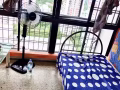 欧南园中央医院对面，新房现有一间阳台大窗户房间对外出租，水电网全包，家俬齐全！