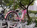 二手自行車