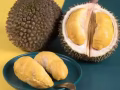 榴莲批发