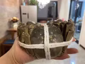 大闸蟹来一波