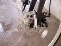 回國出自用9新自行車