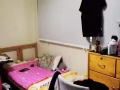 巴西立大牌183找一個女性房客搭房（報地址）
