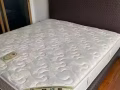 SEALY 特大双人床