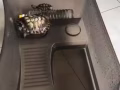 兩隻小烏龜🐢 一大一小找個主人