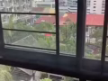 主人房出租