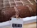 雙人床150cm x 190cm 9成新山棕墊