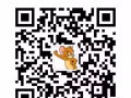 出俩万新币4.93hui lv