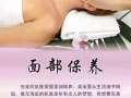 招聘创业型美容师