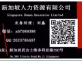 招WP按摩师   微信a67089388