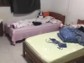 义顺大牌277