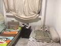 2人間，無屋主，可報本屋製造業地址。