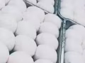 鼎福团体餐