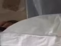紫羅蘭全棉羽絲絨水洗枕頭