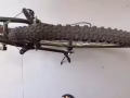 二手自行車