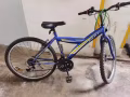 巴西立大牌184自行車轉讓