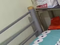 招租紫线花拉公园男床位出租
