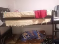 313 hougang ave5新房间搭房出租