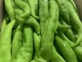 全岛蔬菜水果海鲜批发零售