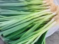全岛蔬菜水果海鲜批发零售