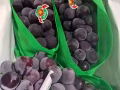 全岛蔬菜水果海鲜批发零售