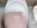 全新马桶