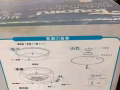 电火锅