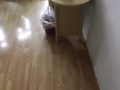 隔间，地板，油漆，水电安装，组屋翻新，拆店屋，丢垃圾安装冷气一条龙服务。