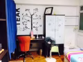 美觀舒適的主人房出租！2021年2月入住！